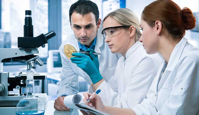 Master of Health Science Medical Laboratory Research - Massey University
