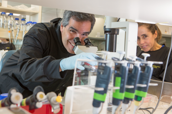 Virus research in Dunedin containment lab