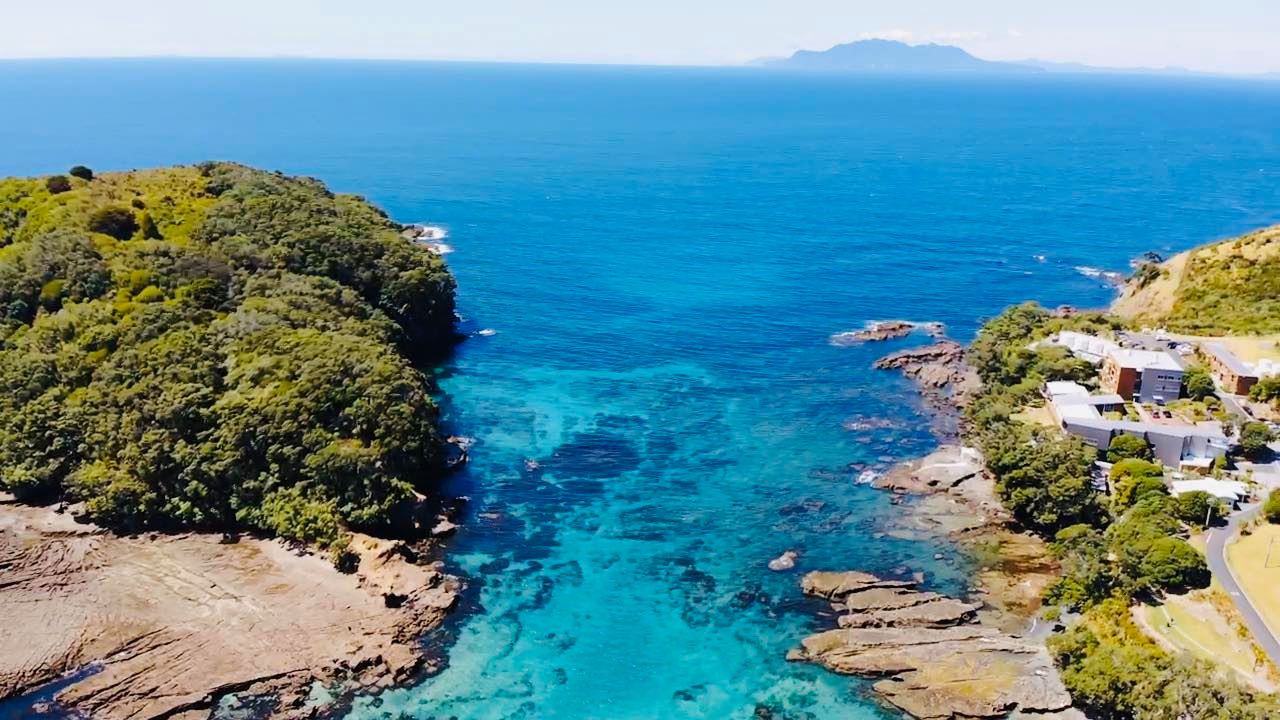 Goat Island New Zealand 1