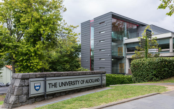 Sư phạm mẫu giáo - Lựa chọn hàng đầu khi du học ngành sư phạm tại New Zealand - Hình 2
