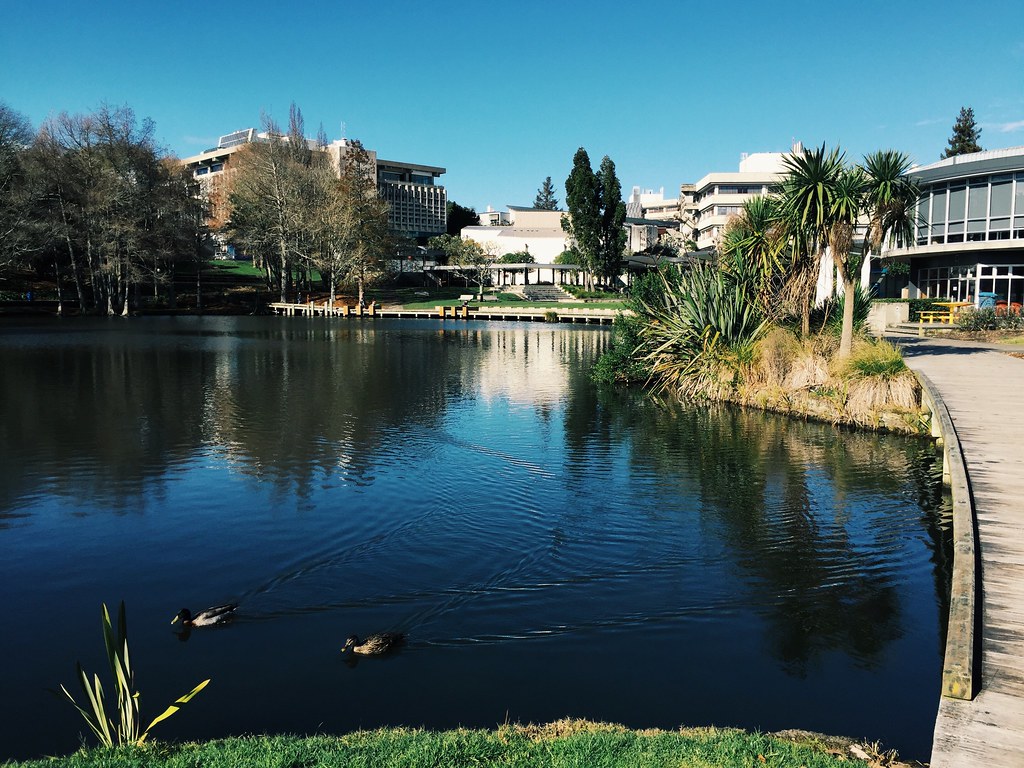 university of waikato