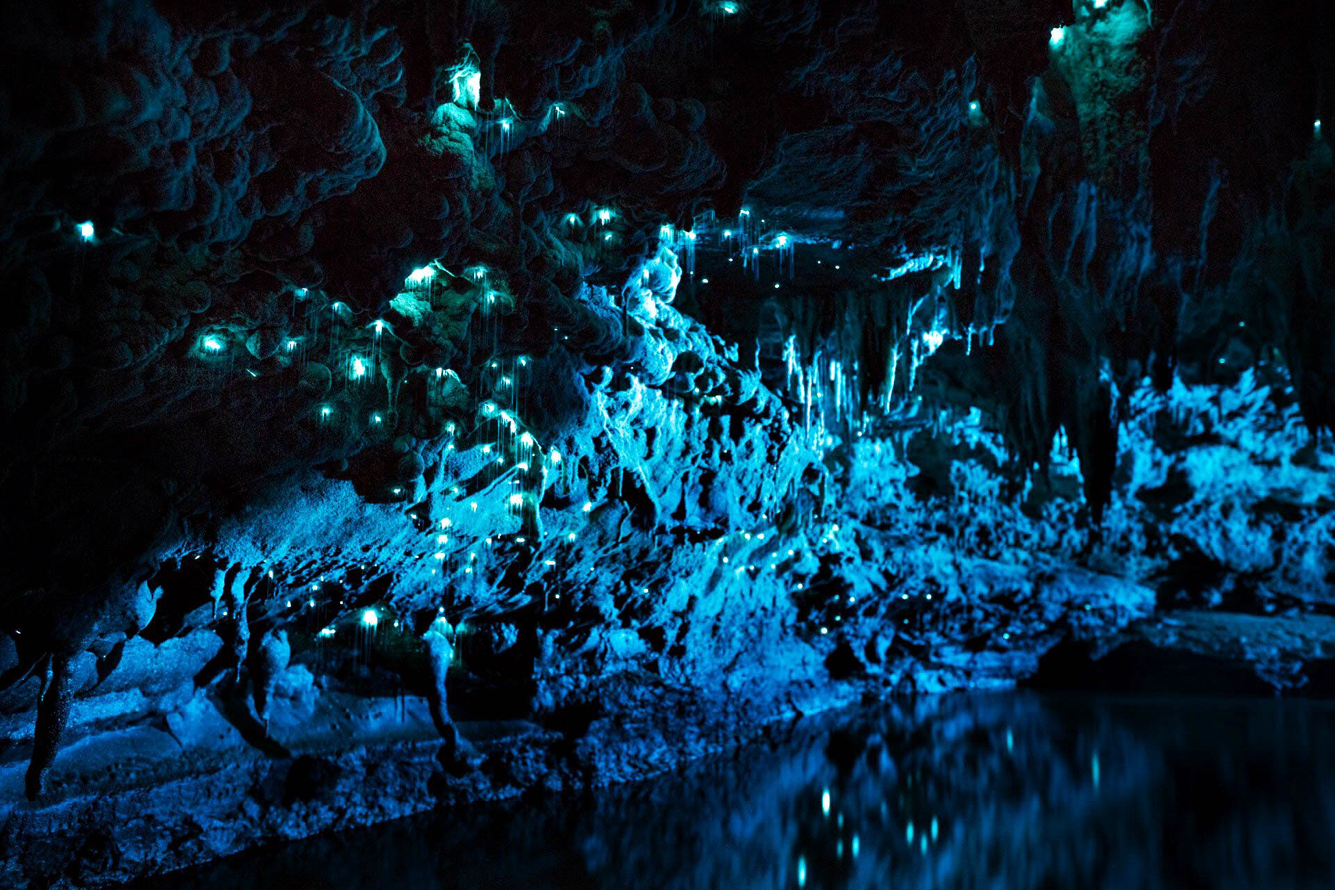 Động Đom Đóm Waitomo
