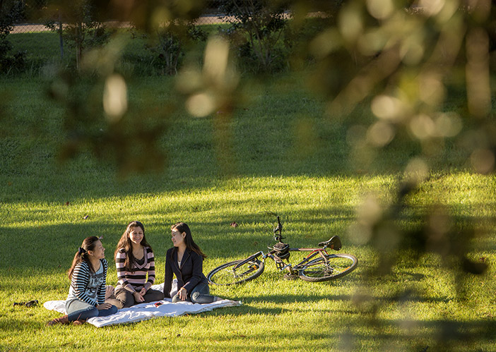 Study Business, Hospitality, IT, Tourism and English in NZ
