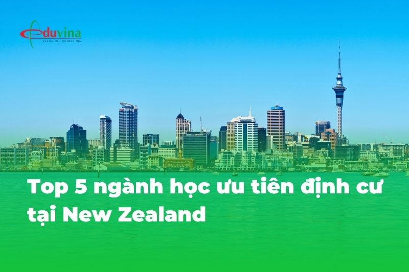 Top 5 ngành học ưu tiên định cư New Zealand