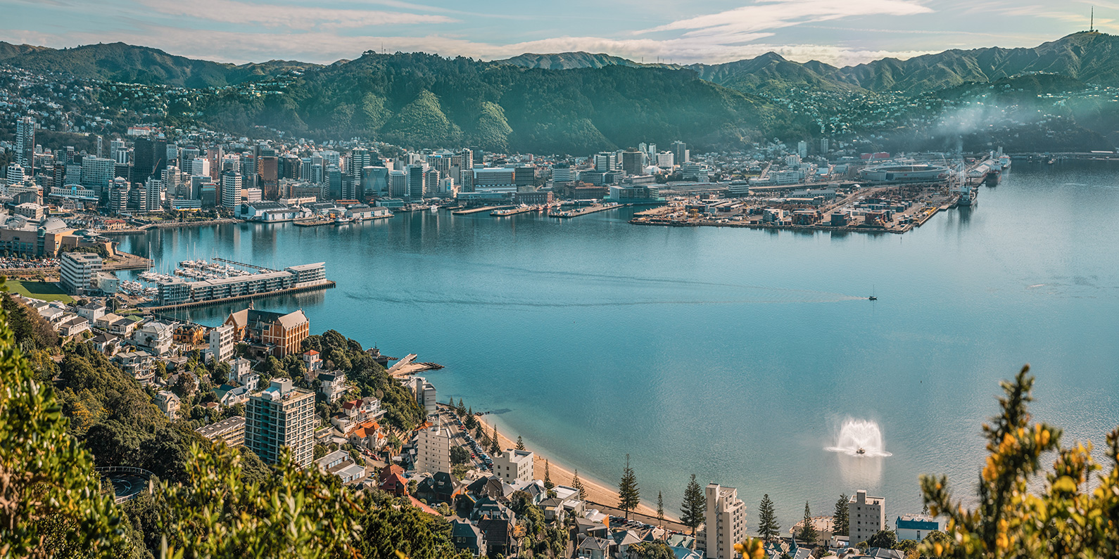 Wellington New Zealand